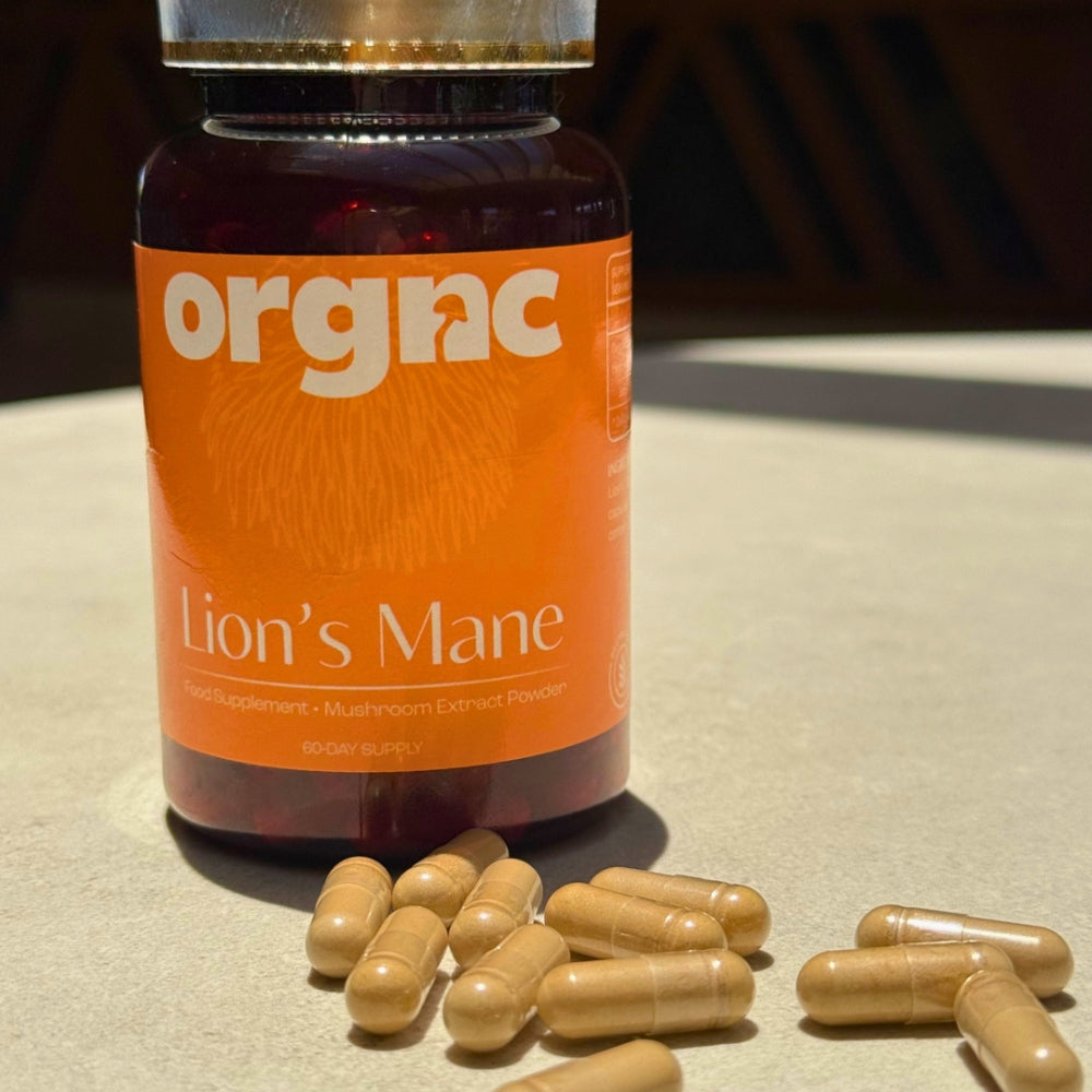 Lion’s Mane Capsules
